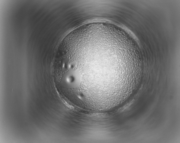 X0000074960953200609221753