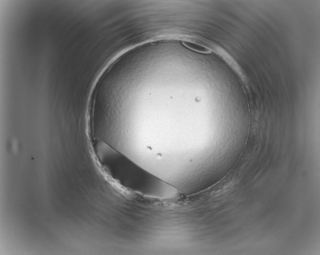 X0000074960955200609221753