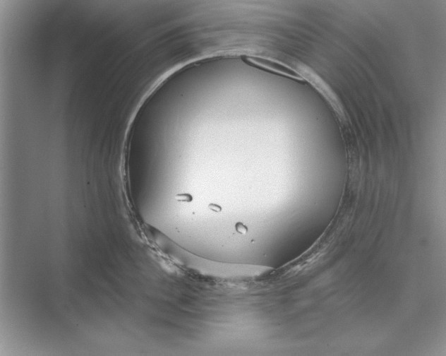 X0000074960956200609221753