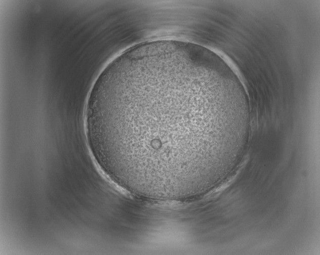 X0000074960957200609221753