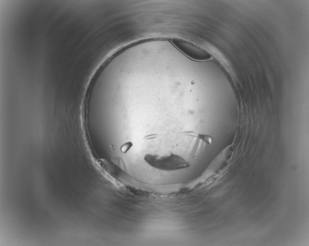 X0000074960958200609221753