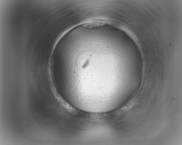 X0000074960960200609221754