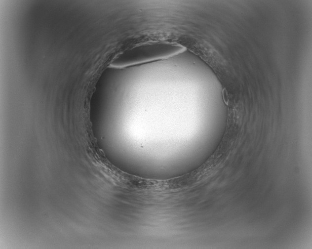 X0000074960961200609221753