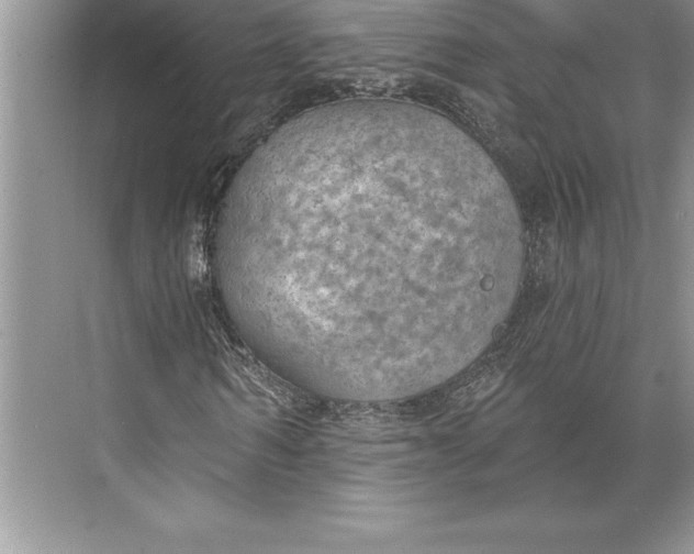 X0000074960962200609221753