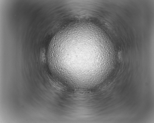 X0000074960963200609221753