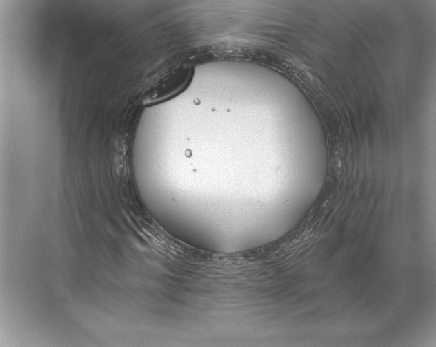 X0000074960964200609221753