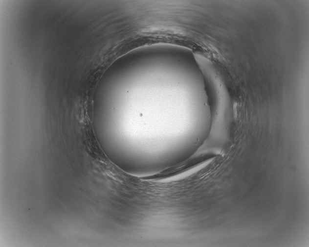 X0000074960965200609221753