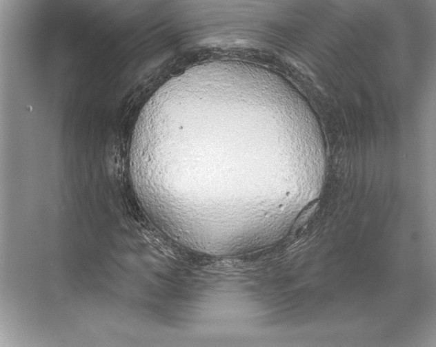 X0000074960966200609221753