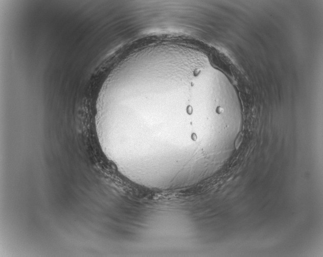 X0000074960967200609221753