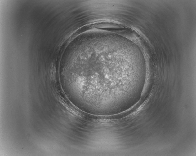 X0000074960969200609221753