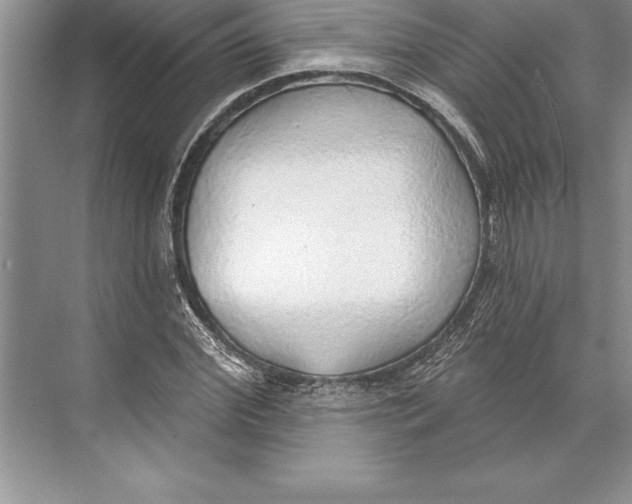 X0000074960972200609221753