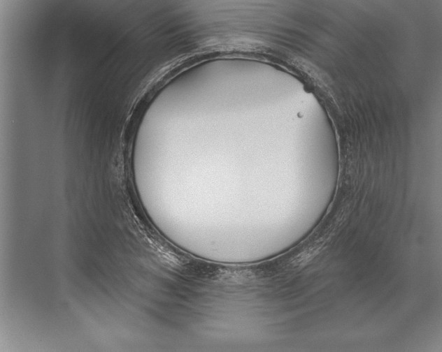 X0000074960978200609221752