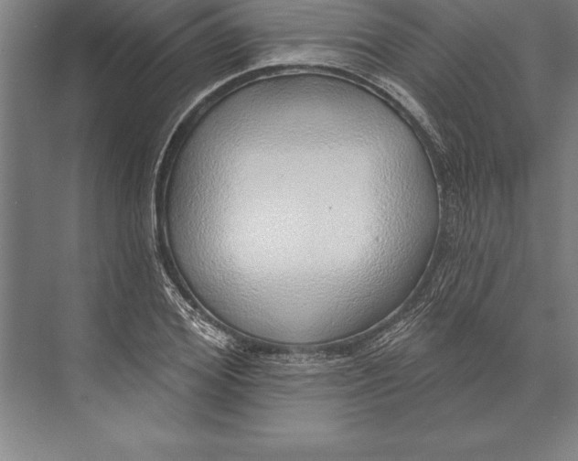 X0000074960980200609221752