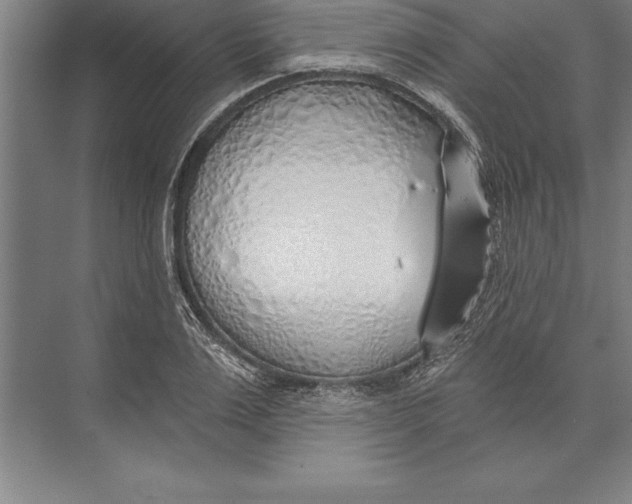 X0000074960983200609221752