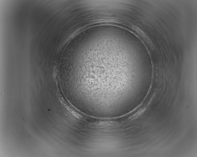 X0000074960985200609221752