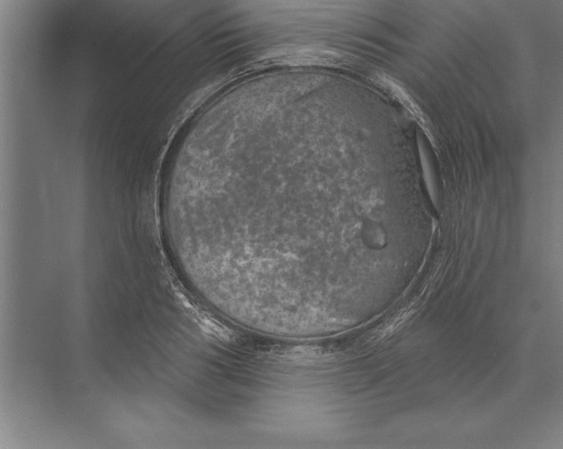 X0000074960986200609221752