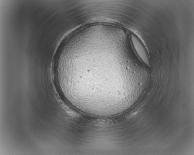 X0000074960987200609221752