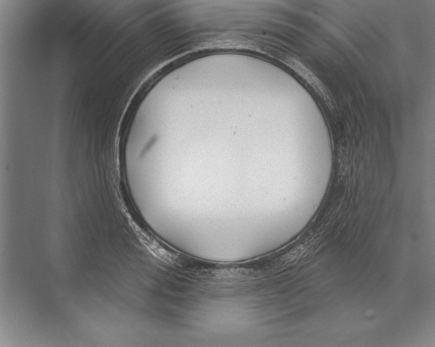 X0000074960988200609221752