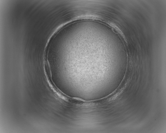 X0000074960989200609221752