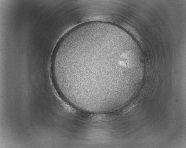 X0000074960991200609221752