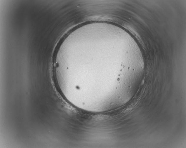 X0000074960992200609221752