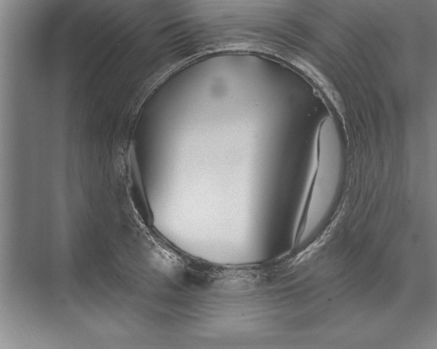 X0000074960993200609221752