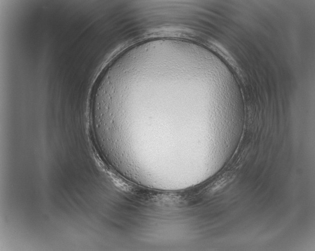 X0000074960994200609221752