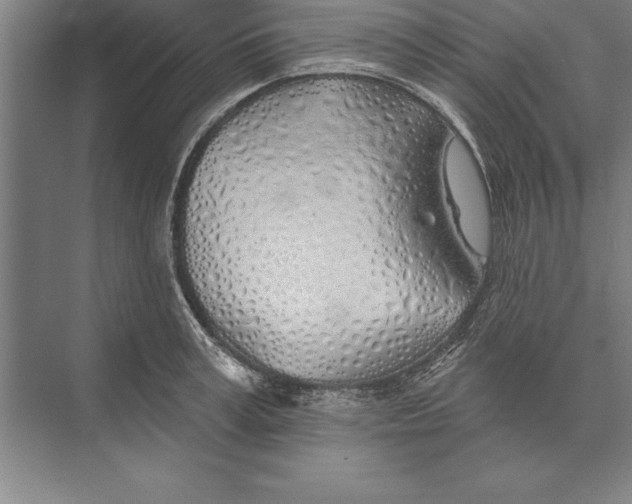 X0000074960995200609221752