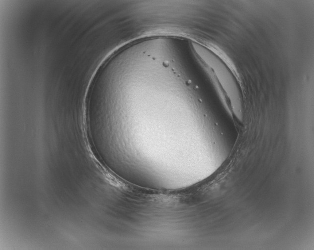 X0000074960996200609221752