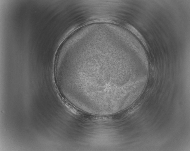 X0000074961002200609221752