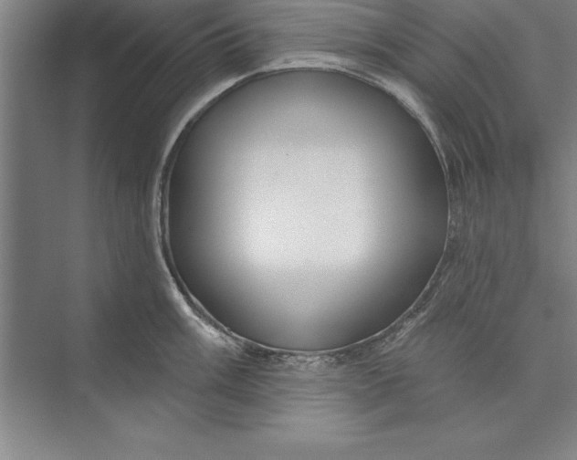 X0000074961003200609221752