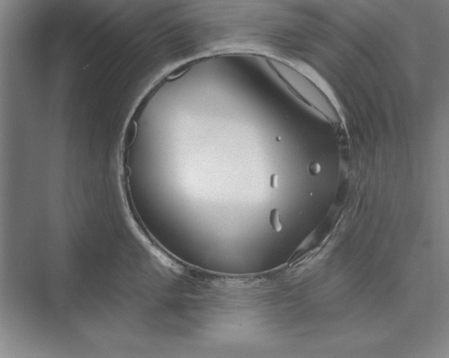 X0000074961005200609221752