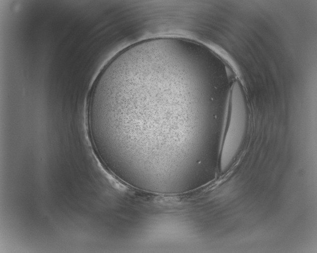 X0000074961006200609221752