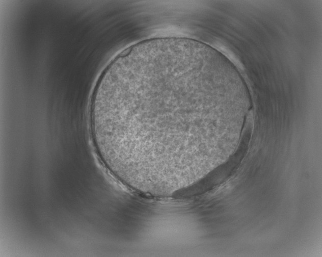 X0000074961008200609221752