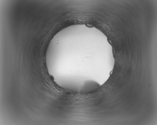 X0000074961009200609221751