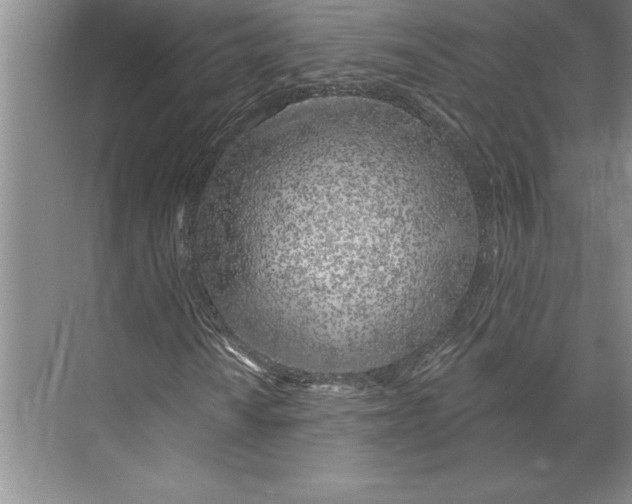 X0000074961010200609221751