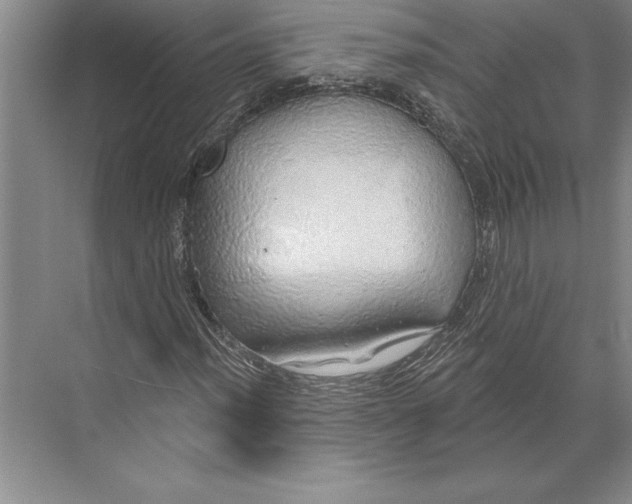 X0000074961012200609221751