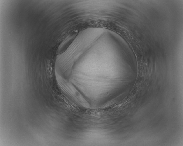 X0000074961013200609221751