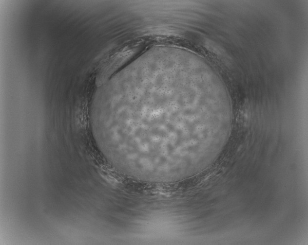 X0000074961014200609221751