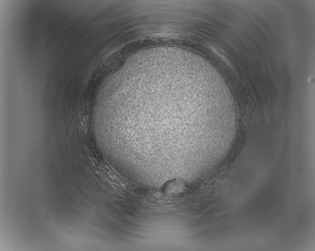 X0000074961015200609221751