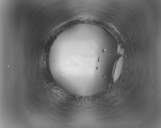 X0000074961016200609221751