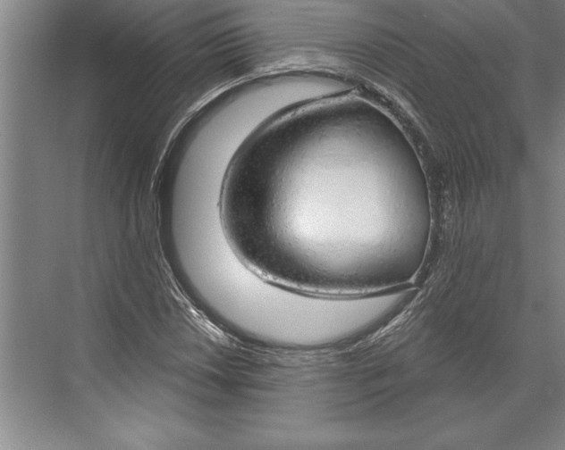 X0000074961018200609221751