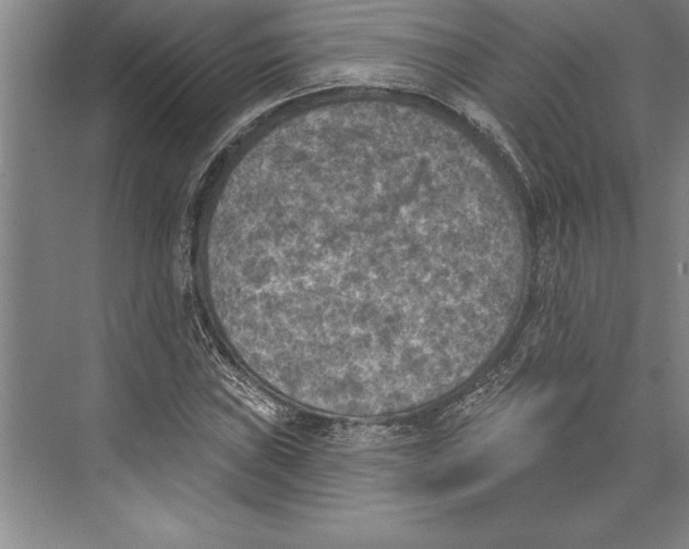 X0000074961019200609221751