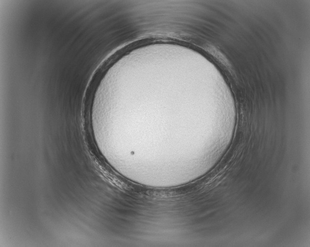 X0000074961020200609221751