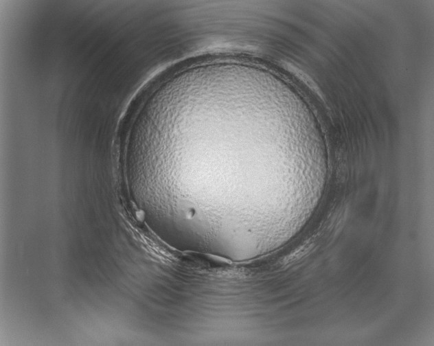 X0000074961021200609221751