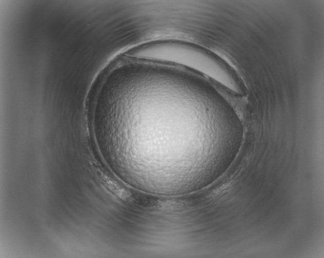 X0000074961022200609221751