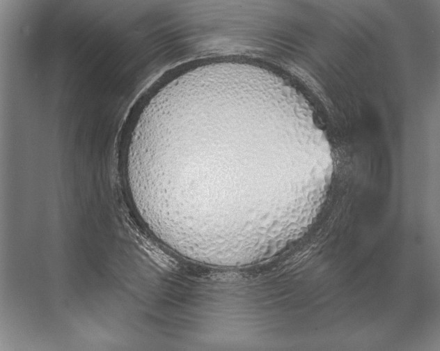 X0000074961023200609221751