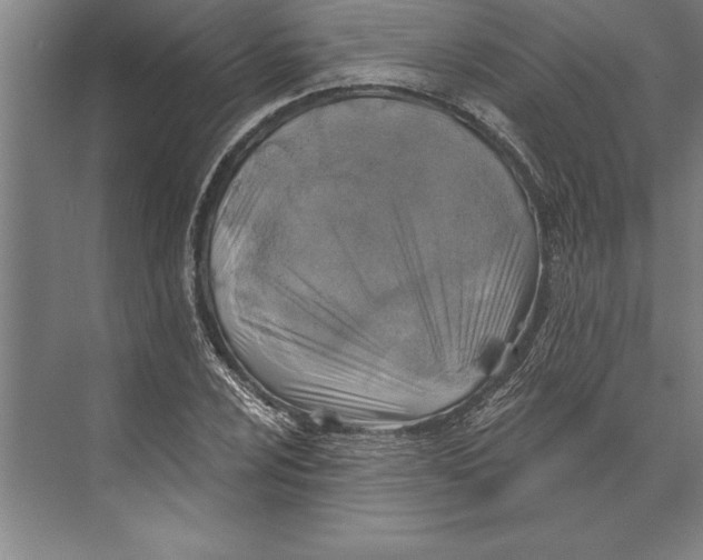 X0000074961024200609221751