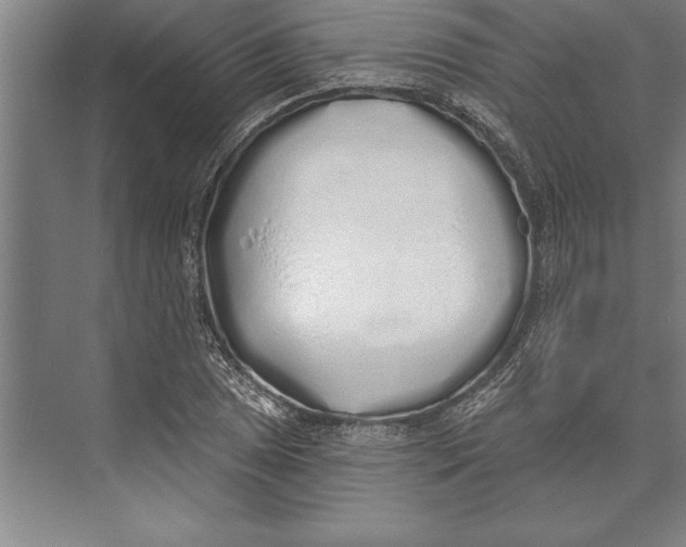 X0000074961025200609221751