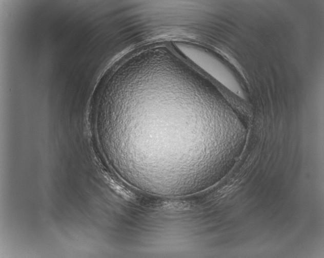 X0000074961026200609221751